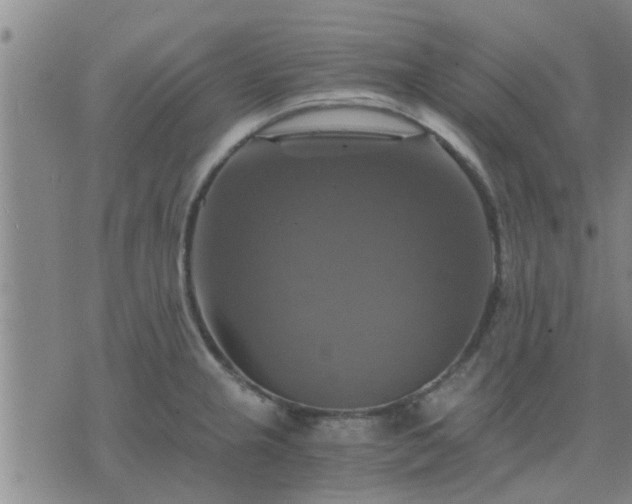 X0000075861237200609221747