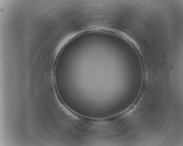 X0000075861239200609221747