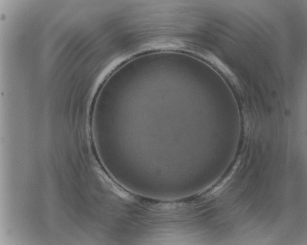 X0000075861240200609221747