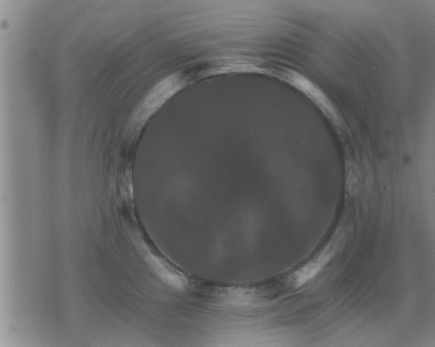 X0000075861241200609221747