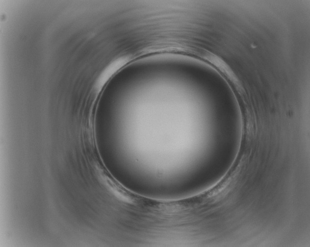 X0000075861242200609221747