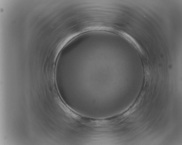 X0000075861244200609221747