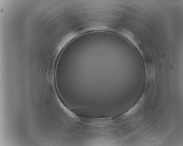 X0000075861245200609221747