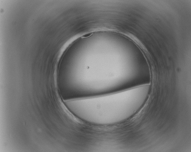 X0000075861246200609221747