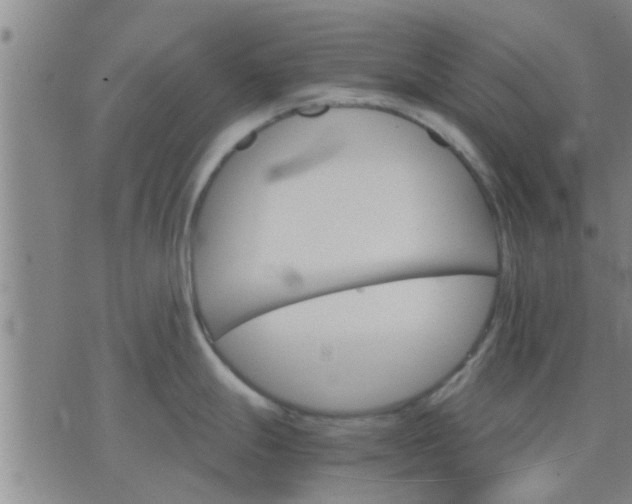 X0000075861247200609221748