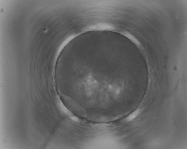 X0000075861248200609221748