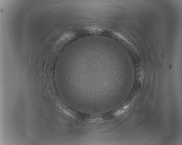 X0000075861249200609221747