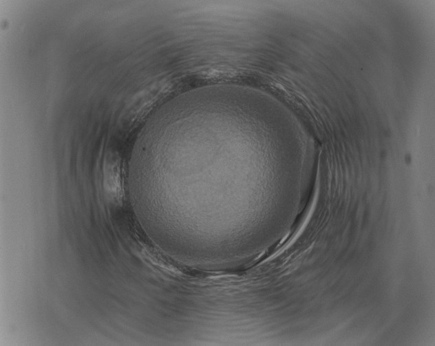 X0000075861250200609221747