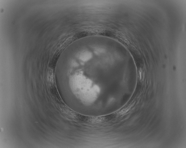 X0000075861251200609221747