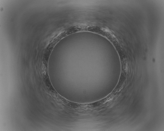 X0000075861253200609221747