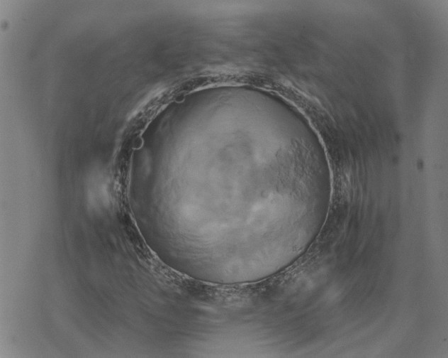 X0000075861254200609221747