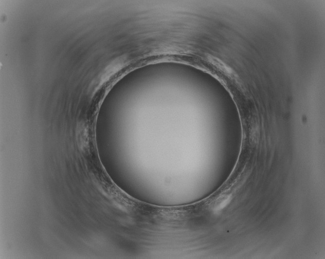 X0000075861258200609221747