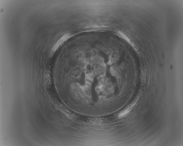 X0000075861259200609221747