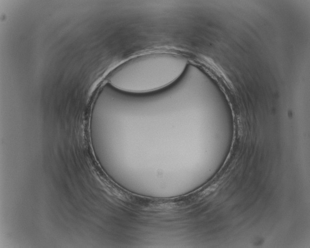 X0000075861260200609221747