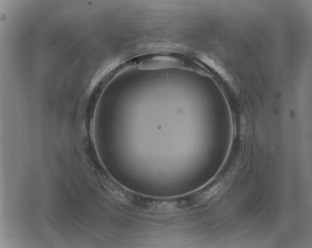 X0000075861261200609221747