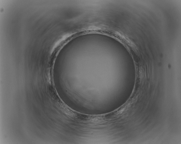 X0000075861262200609221747