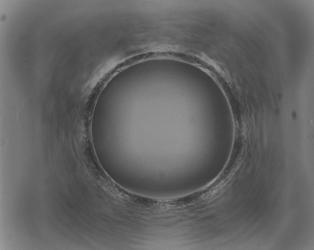 X0000075861263200609221747