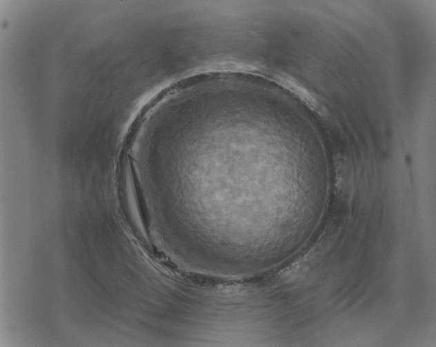 X0000075861264200609221746