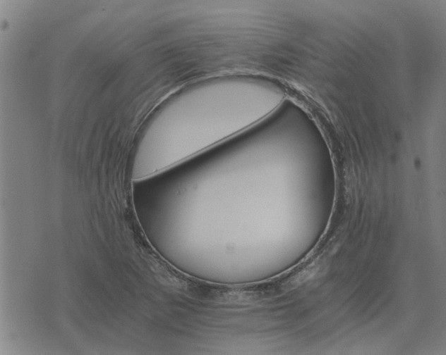 X0000075861265200609221746