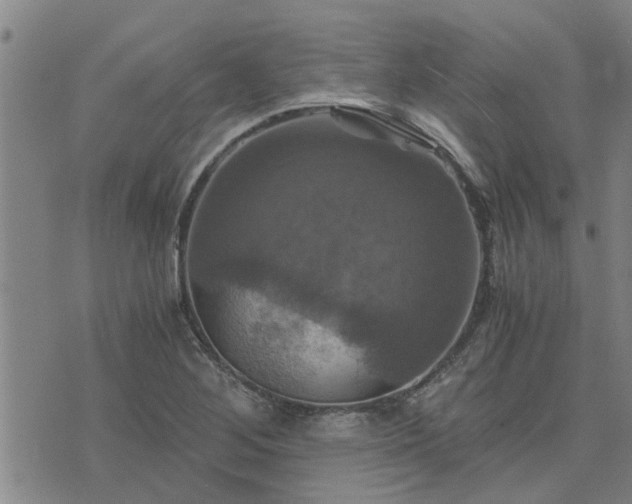 X0000075861268200609221746