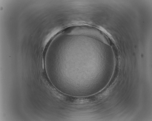 X0000075861269200609221746