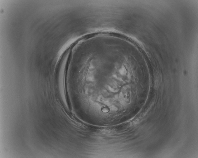 X0000075861271200609221746