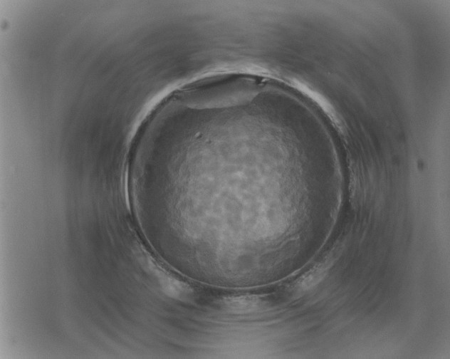 X0000075861272200609221746