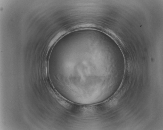 X0000075861274200609221746