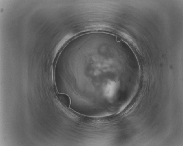 X0000075861275200609221746