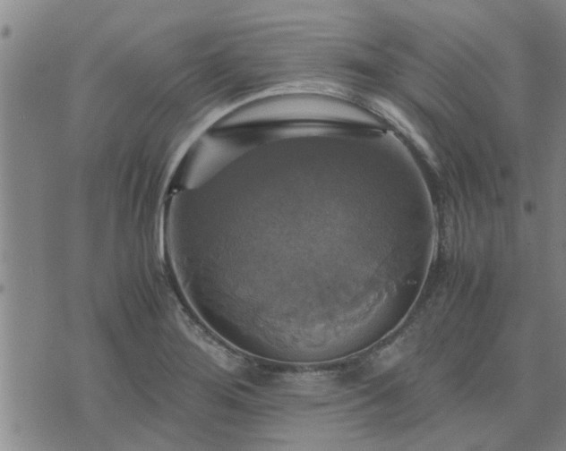 X0000075861276200609221746