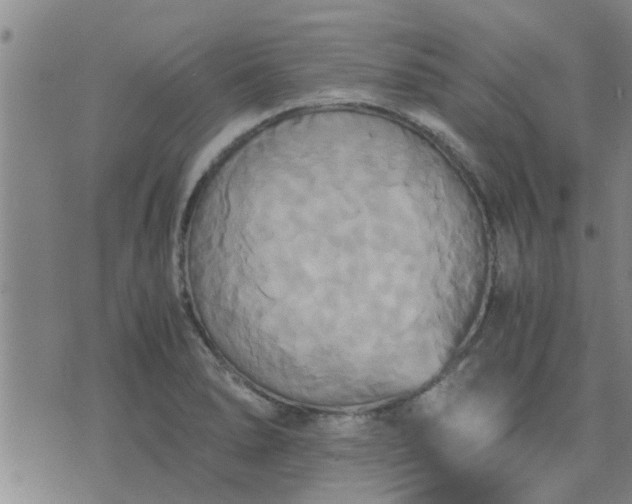 X0000075861278200609221746