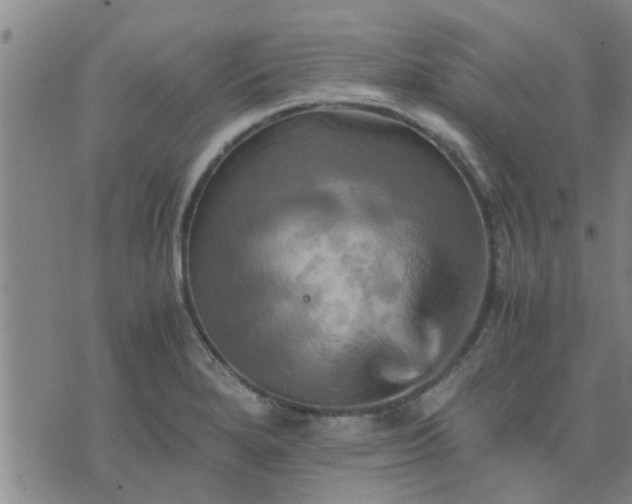 X0000075861280200609221746