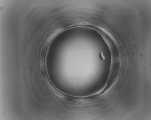 X0000075861281200609221746