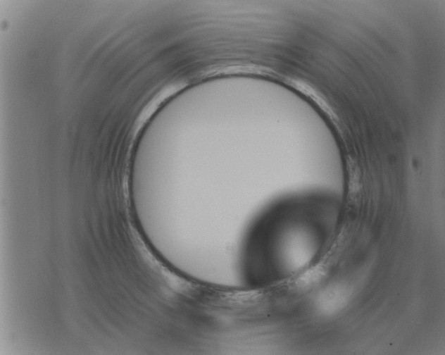 X0000075861282200609221746