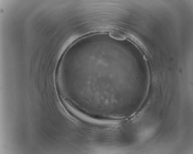 X0000075861283200609221746