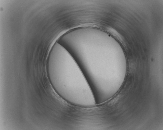 X0000075861284200609221746