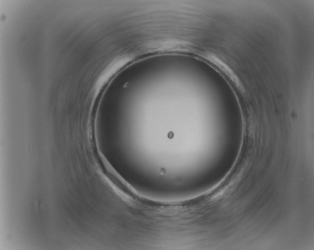 X0000075861285200609221746