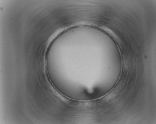 X0000075861286200609221746