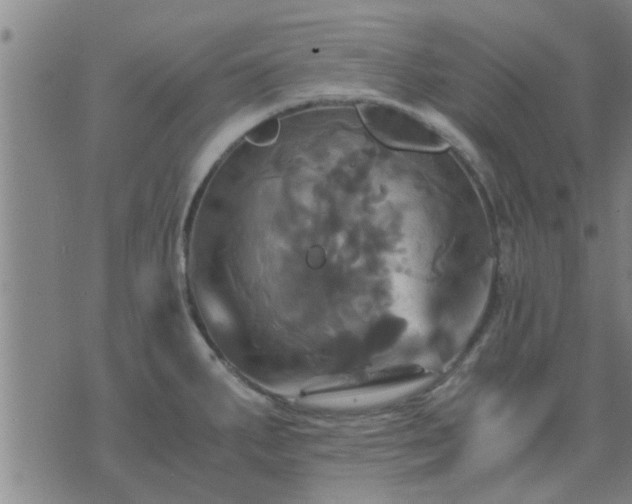 X0000075861287200609221746