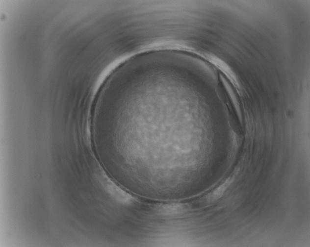 X0000075861288200609221746