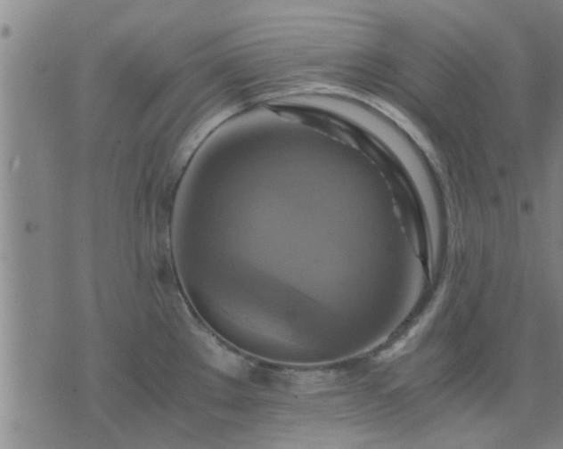 X0000075861289200609221746