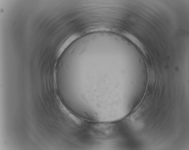 X0000075861290200609221746