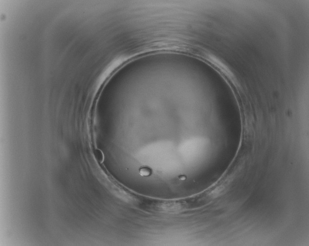 X0000075861291200609221746