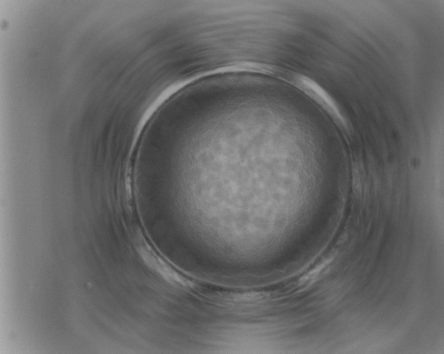 X0000075861292200609221746