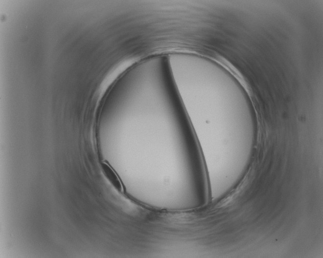 X0000075861293200609221746