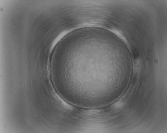 X0000075861294200609221746