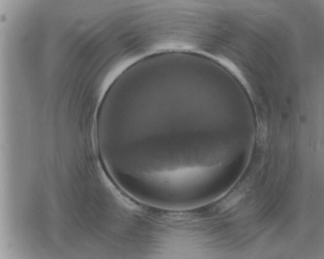 X0000075861295200609221746