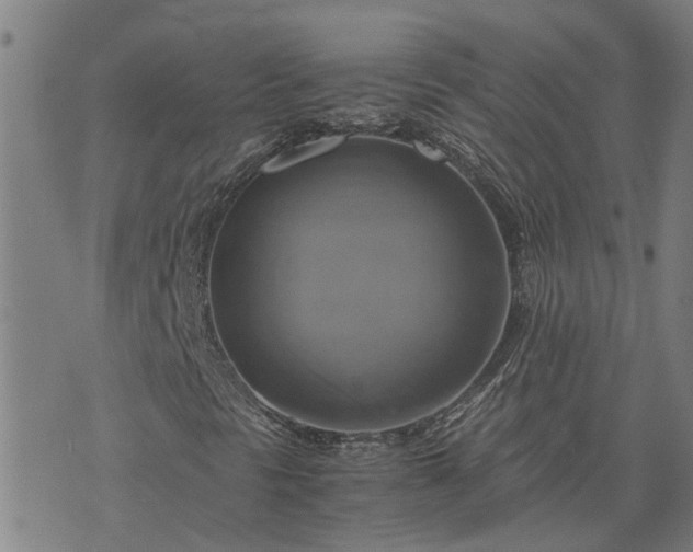 X0000075861297200609221745