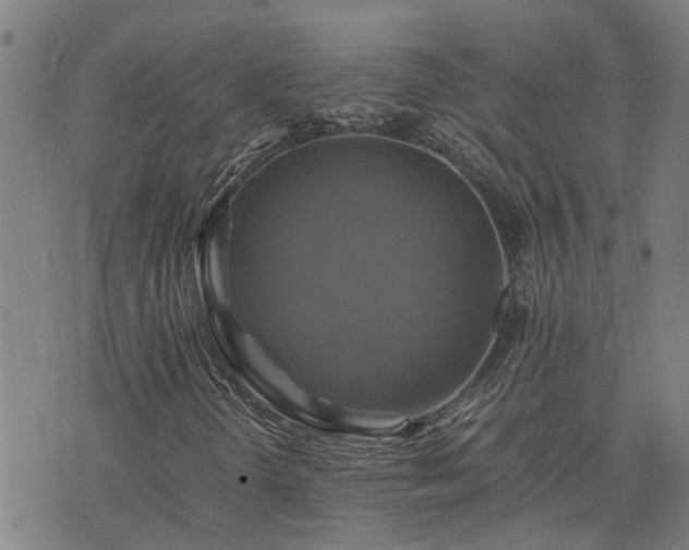 X0000075861298200609221745