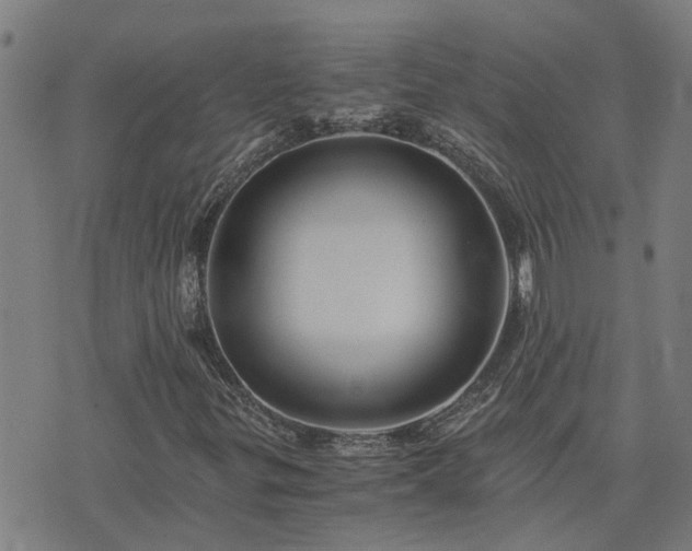 X0000075861299200609221745